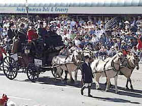 повозка, запряженная быками Calgary Stampede ковбои парад концерт автомобили